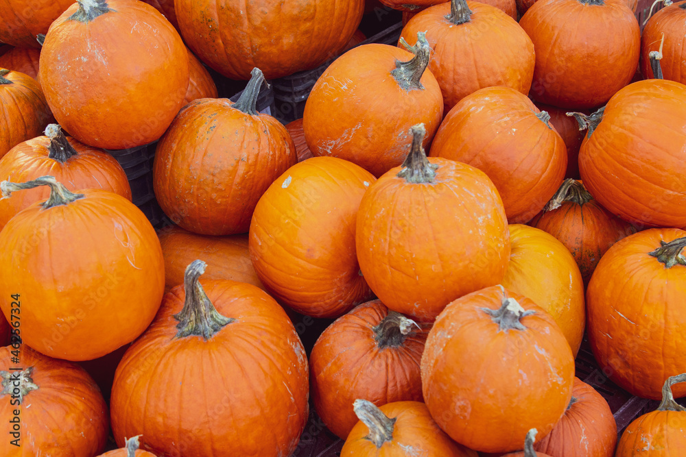 pumpkins on a market