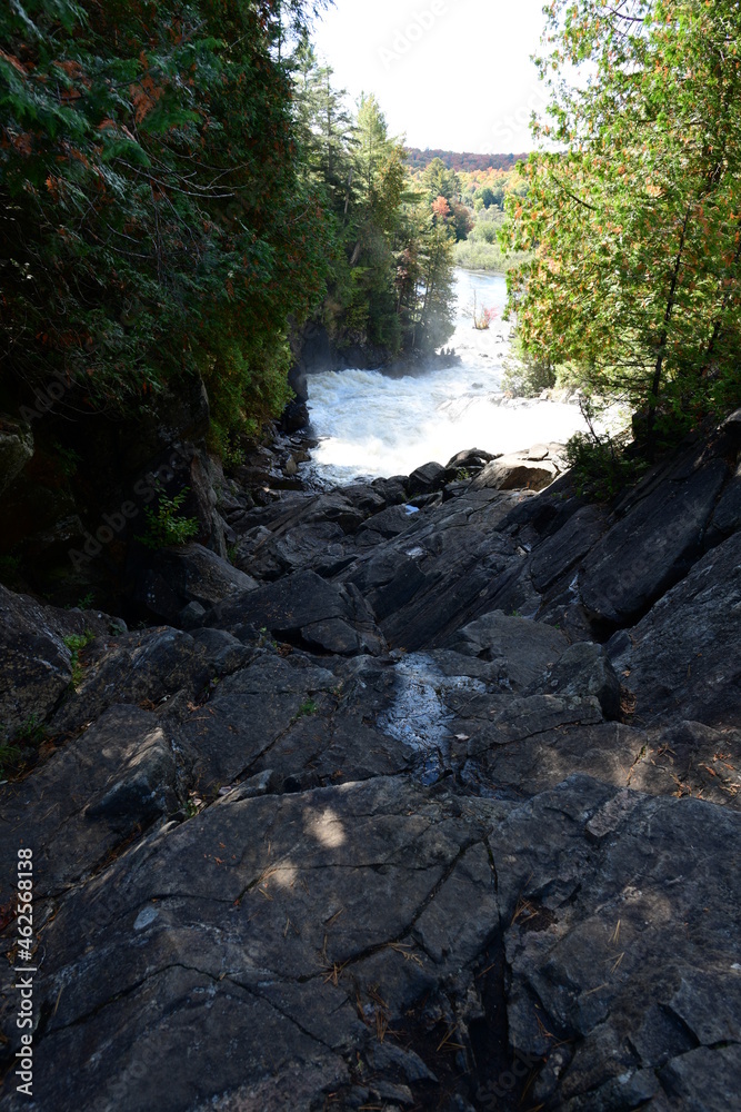Obraz premium mountain river in the forest