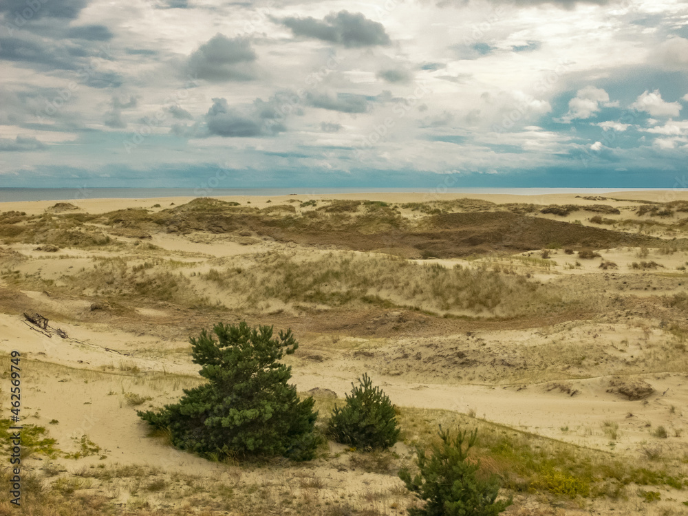 Curonian Spit is a nature reserve. Unique sand dunes on the Baltic coast. Curonian Spit is a nature reserve. Unique sand dunes on the Baltic coast.