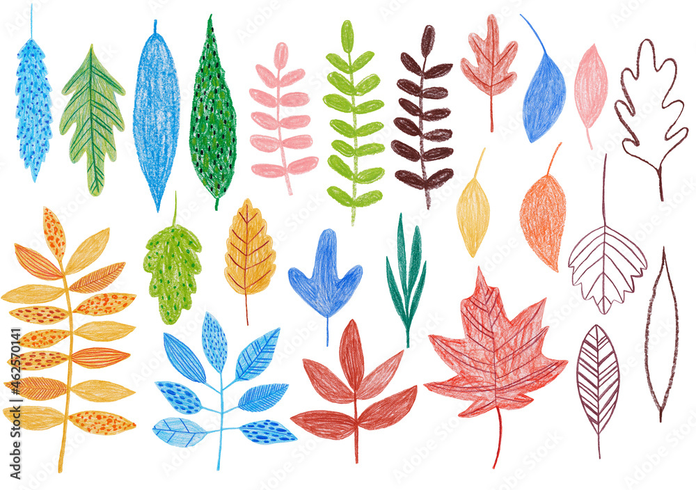 Pencil drawn forest set of leaves and plants Pencil drawn forest set of leaves and plants