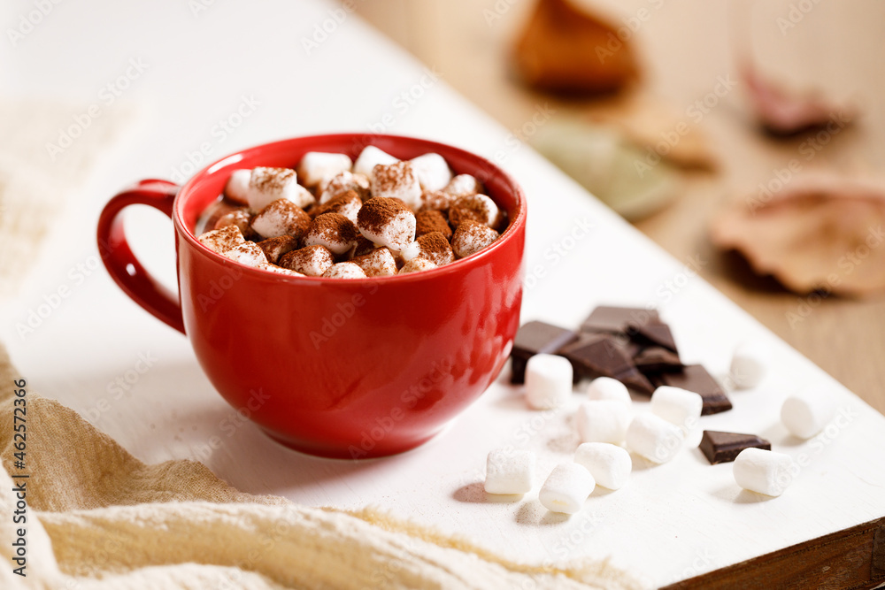 Hot chocolate with marsmallow candies Hot chocolate with marsmallow candies