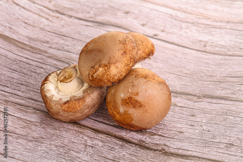 Raw brown champignons mushroom heap