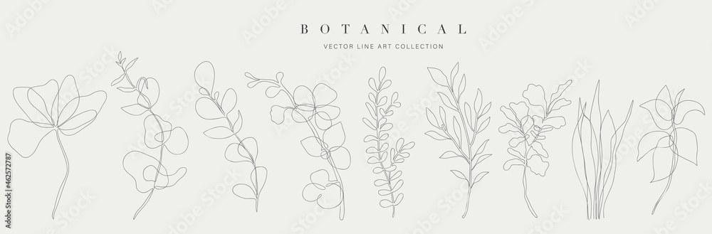 Botanical arts. Hand drawn continuous line drawing of abstract flower, floral, ginkgo, tropical leaves, spring and autumn leaf, bouquet of olives. Vector illustration. - obrazy, fototapety, plakaty 