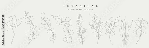 Botanical arts. Hand drawn continuous line drawing of abstract flower, floral, ginkgo, tropical leaves, spring and autumn leaf, bouquet of olives. Vector illustration.
