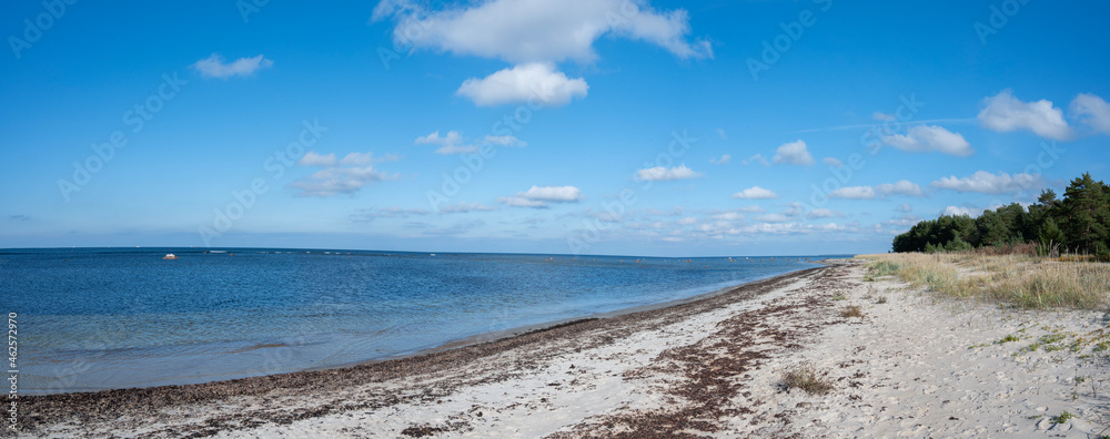Obraz premium seashore in estonia