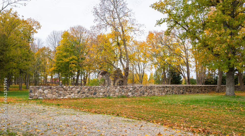 Obraz premium park in autumn