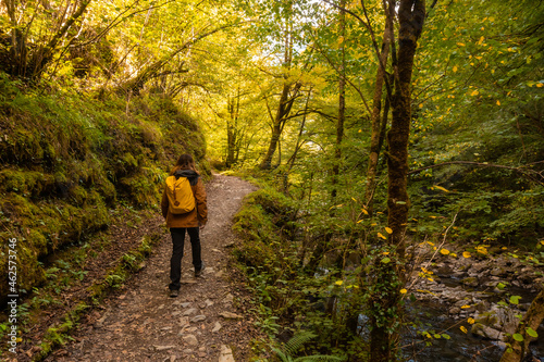 A young woman heading to Passerelle de Holtzarte in the forest or jungle of Irati, northern Navarra in Spain and the Pyrenees-Atlantiques of France photo