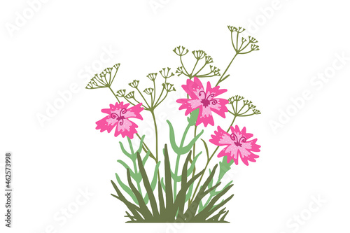 Doodle illustration with the alpine pink flowers and wild meadow grass. Vector image of composition with plants on a white background.