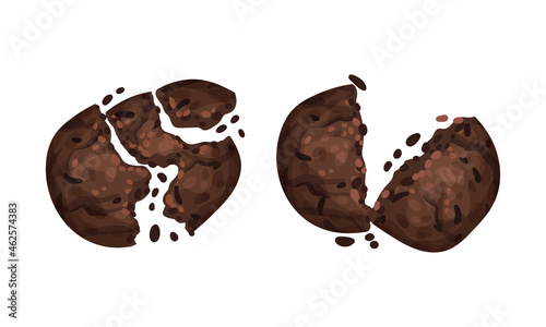 Broken crispy chocolate biscuits with crumbs set vector illustration on white background