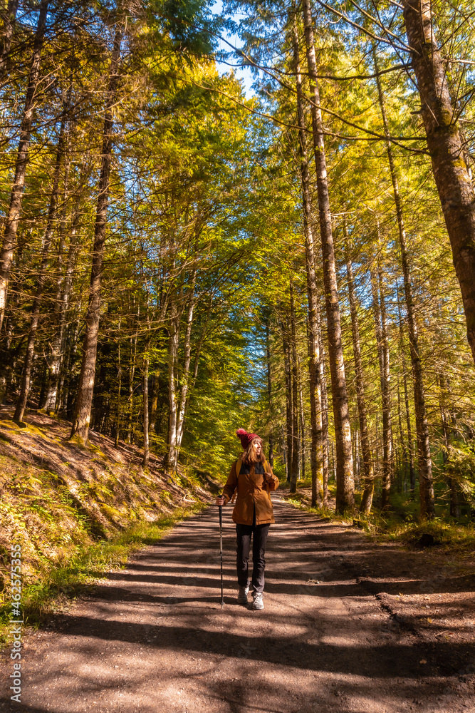 Irati forest or jungle in autumn, a young woman on the trail of the Irati houses. Ochagavia, northern Navarra in Spain Irati forest or jungle in autumn, a young woman on the trail of the Irati houses. Ochagavia, northern Navarra in Spain