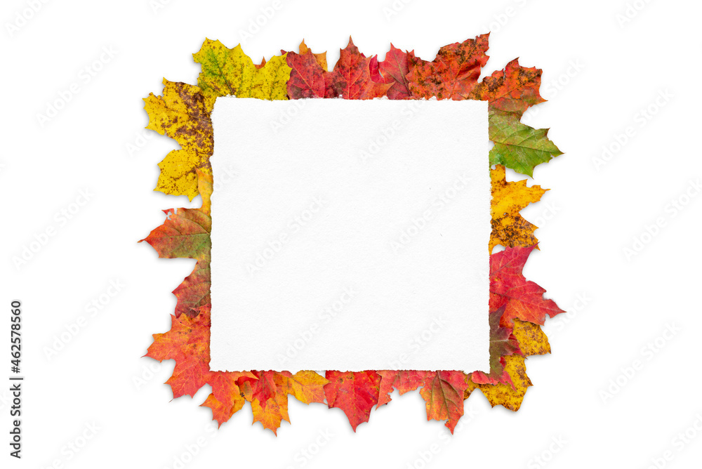 Blank paper surrounded by leaves on white surface. Creative greeting card with copy space. Autumn season bacgkround
