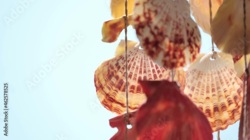 Shells hanging with bright blue background copyspace area in the background