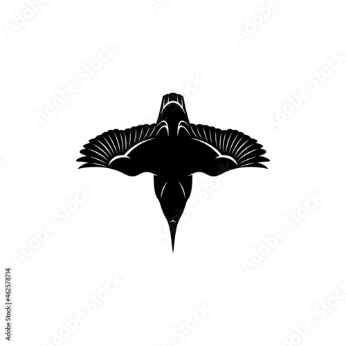 King fisher bird silhouette vector illustration design concept. creative design