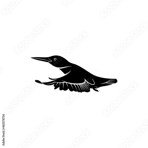 King fisher bird silhouette vector illustration design concept. creative design photo