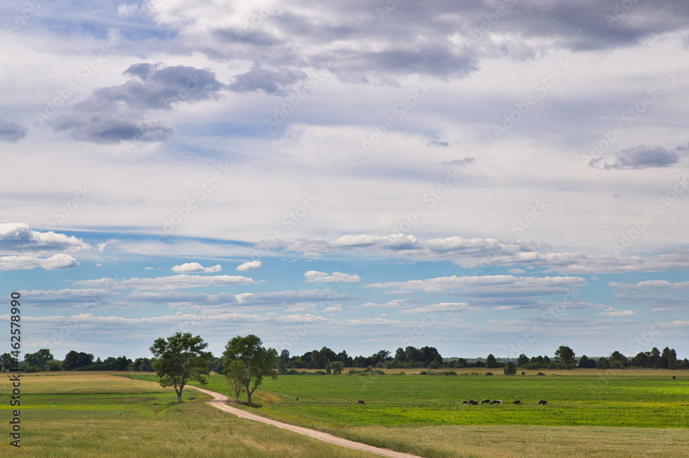 white clouds over a green field during the day white clouds over a green field during the day