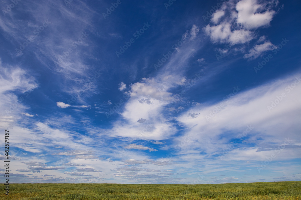 white clouds over a green field during the day white clouds over a green field during the day