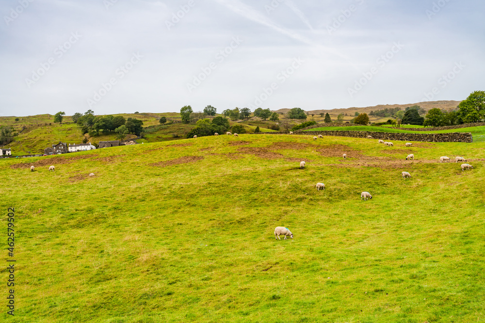 Fototapeta premium Rural Cumbria