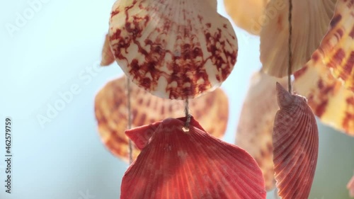 seashells hanging with bright blue background copyspace area in the background