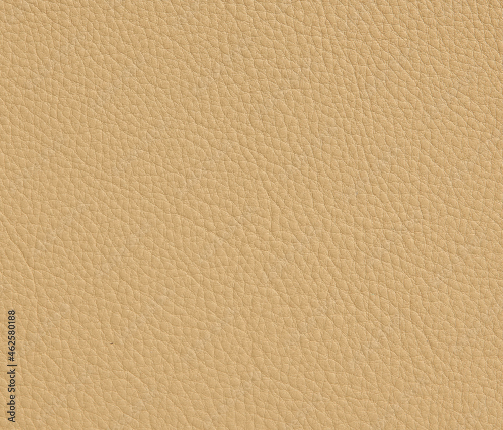 beige leather