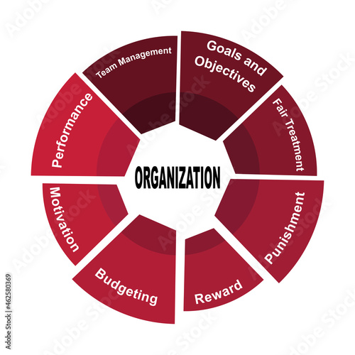 Diagram concept with organization text and keywords. EPS 10 isolated on white background