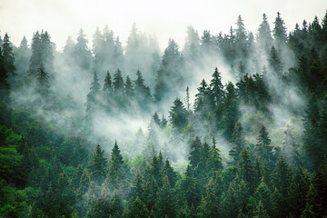 Misty mountain landscape