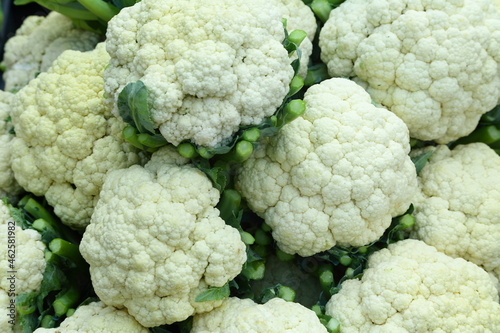 Fresh harvested organic cauliflower , healthy vegan diet foods background.
