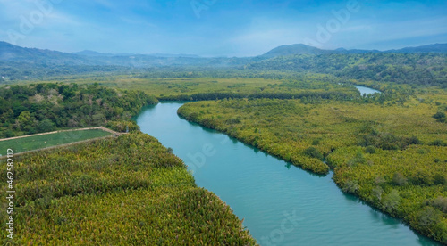 Aerial view of Green tropical mangrove forest with ecology nature system and mountain background-Green peace of nature concept