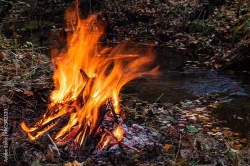 A bonfire burns on the bank of a forest stream on an autumn evening