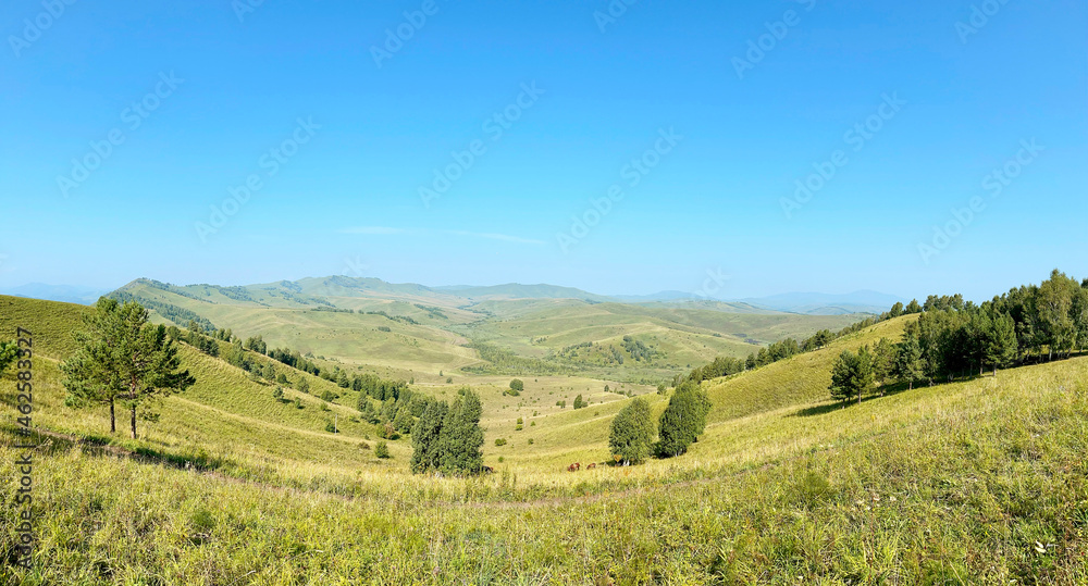 Panoramic view of the mountain plateau in Altai, Russia