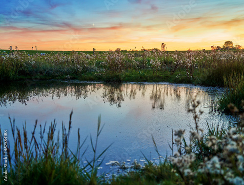 scenic sunset over a small pond at Langwarder Groden (German North Sea coast)