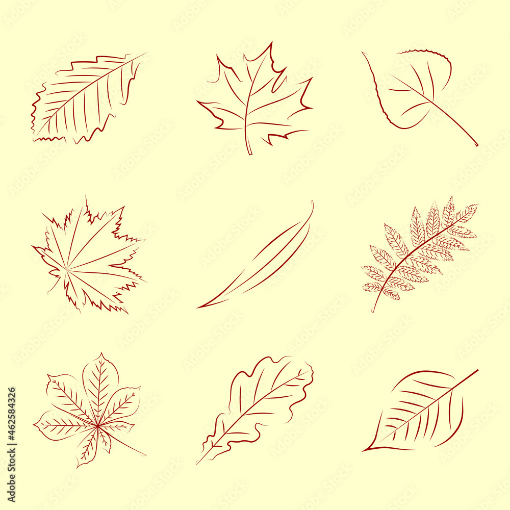 Collection of contour autumn leaves