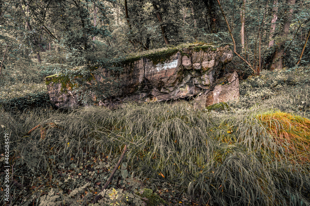 Old destroyed remains of Westwall bunkers along the border Old destroyed remains of Westwall bunkers along the border