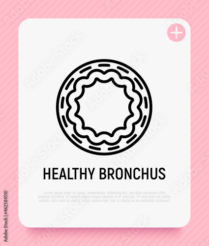 Healthy bronchus thin line icon. Modern vector illustration.