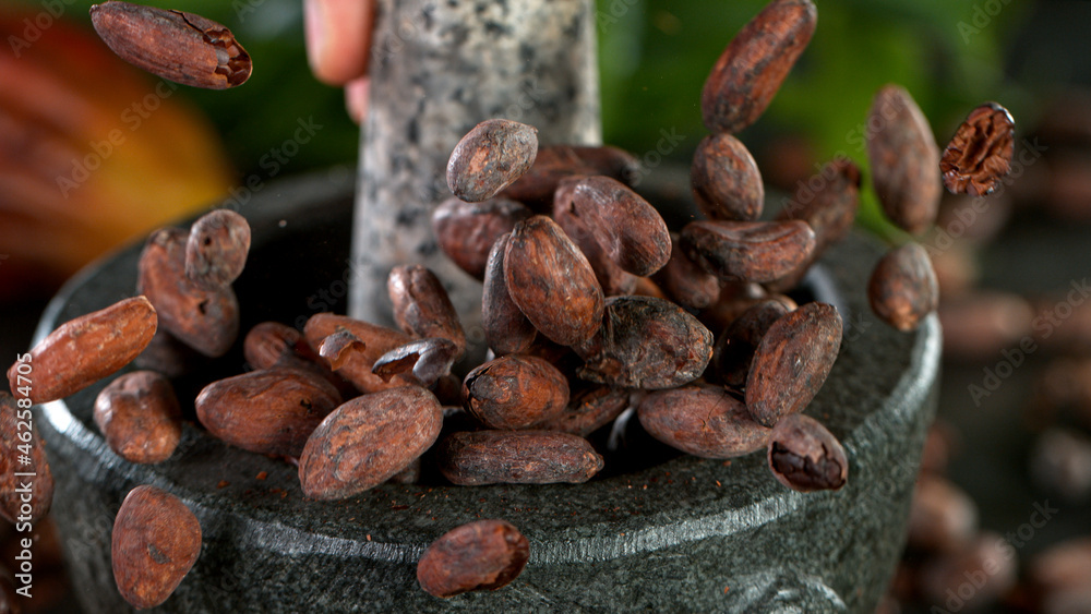 Freeze Motion Shot of Pouring Raw Cocoa Beans into Mortar. Freeze Motion Shot of Pouring Raw Cocoa Beans into Mortar.