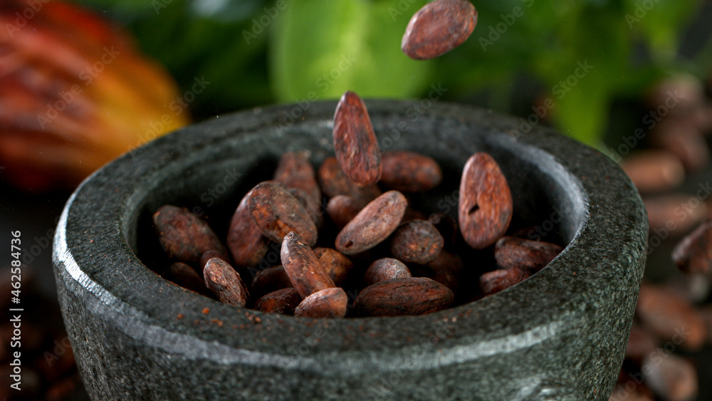 Freeze Motion Shot of Pouring Raw Cocoa Beans into Mortar. Freeze Motion Shot of Pouring Raw Cocoa Beans into Mortar.