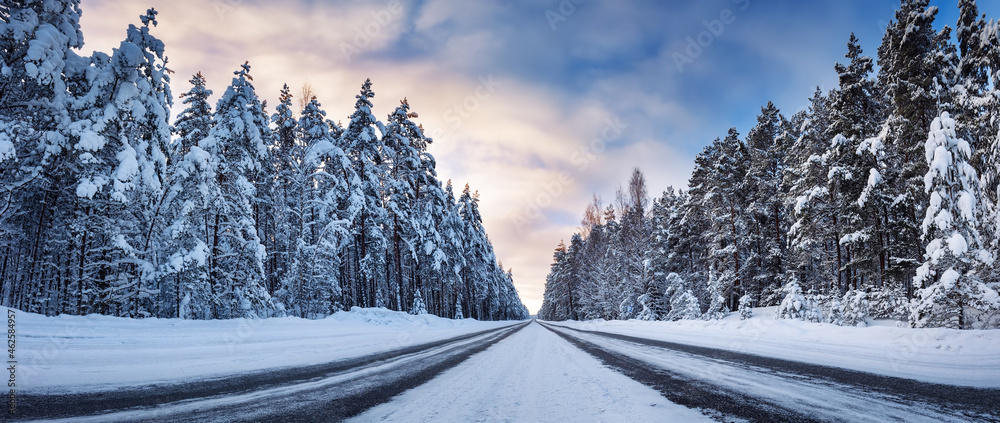 Panoramic view of the beautiful country road in winter - obrazy, fototapety, plakaty 