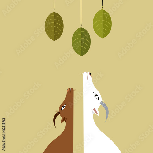 Goats trying to reach leaves hanging on strings