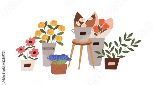 Blossomed flowers and foliage plants in pots, vases and baskets. Blooming floral bouquets composition. Flat vector illustration of modern flora in flowerpots and buckets isolated on white background