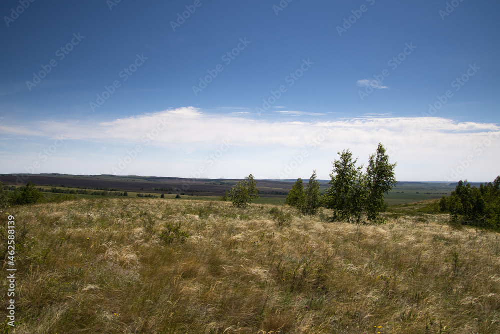 Endless steppe expanses.