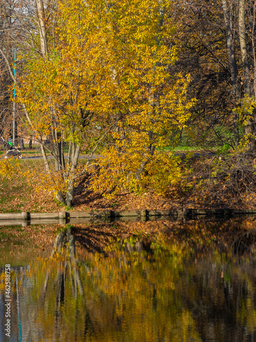 Golden Autumn in Moscow Park in October
