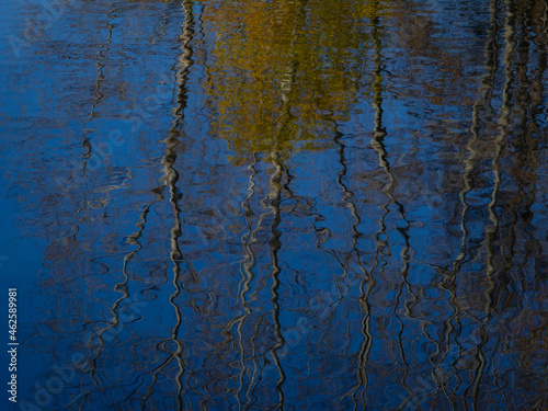 Reflections in a pond in autumn in a Moscow park