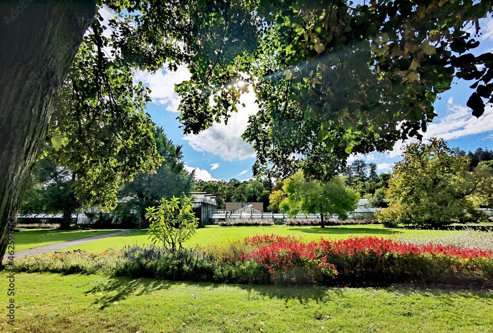 Naklejka premium Landschaft