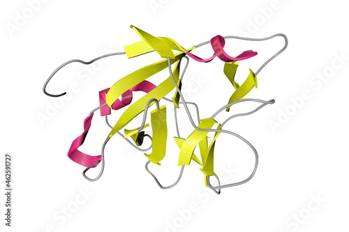 Crystal structure of the pro-inflammatory cytokine interleukin 36 alpha. Ribbons diagram in secondary structure coloring based on protein data bank. 3d illustration photo