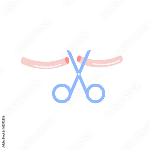 Vasectomy. Male or female sterilization concept. Tubal ligation colored flat style icon. Women or man surgical permanent birth control methods. Surgery procedure. Vector element isolated on white. photo