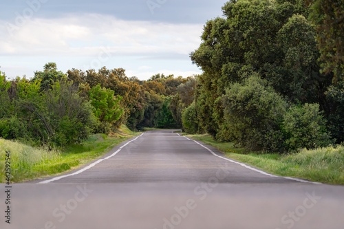 Obraz na płótnie Long road surrounded by nature and forest. w salonie