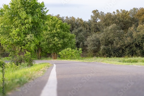 Obraz na płótnie White road lines with nature around them w salonie