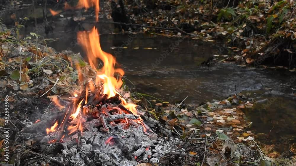 A small fire burns on the bank of a forest stream. Fallen leaves are floating in the water A small fire burns on the bank of a forest stream. Fallen leaves are floating in the water