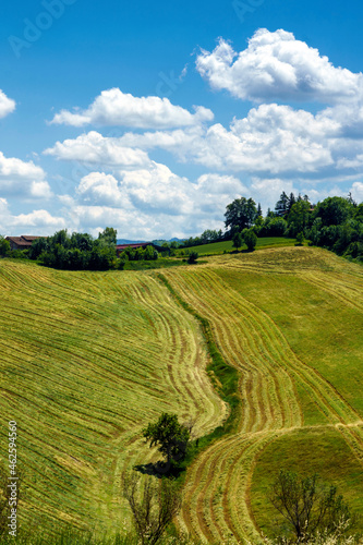 Rural landscape near Sala Baganza and Fornovo  Parma  at springtime