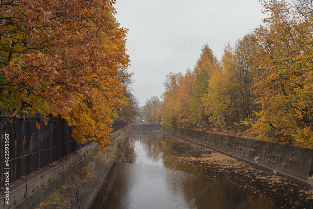 river channel surrounded by autumn trees