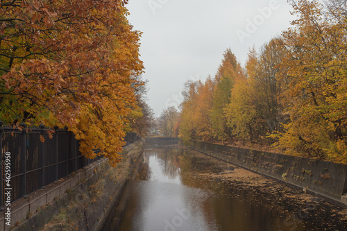 river channel surrounded by autumn trees